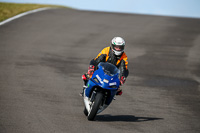 PJ-Motorsport-2019;anglesey-no-limits-trackday;anglesey-photographs;anglesey-trackday-photographs;enduro-digital-images;event-digital-images;eventdigitalimages;no-limits-trackdays;peter-wileman-photography;racing-digital-images;trac-mon;trackday-digital-images;trackday-photos;ty-croes